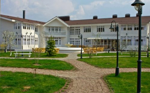 БАБУШКИН САД