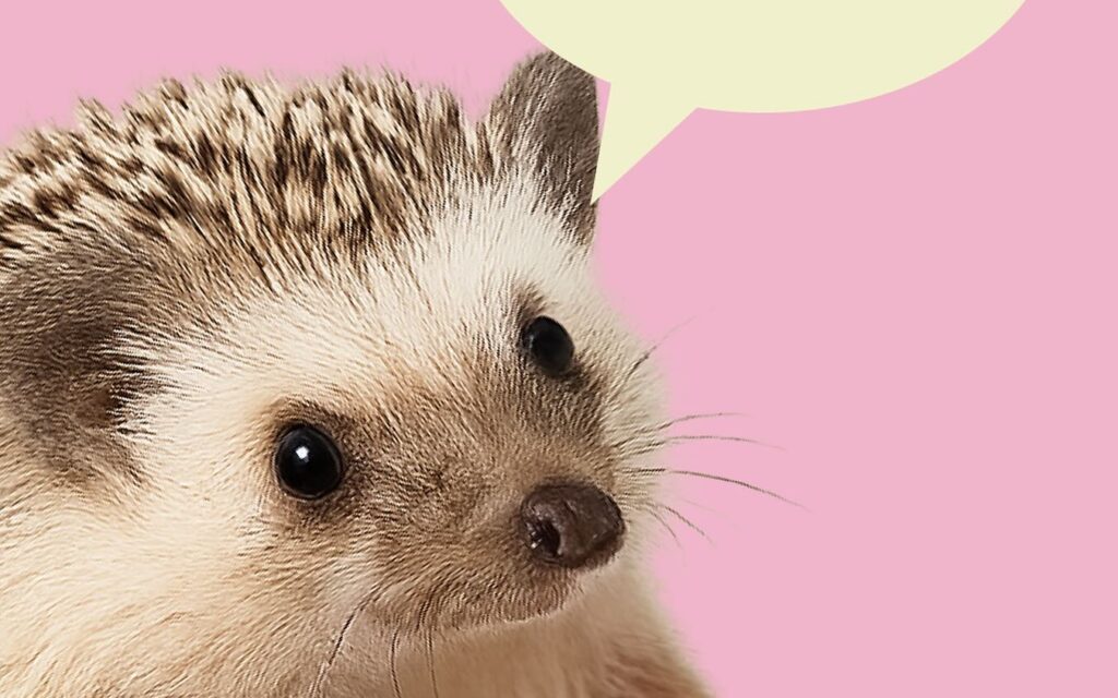 Новий гастропростір на Лівому березі: у Києві готується відкриття фуд-холу «Київ Їжа»