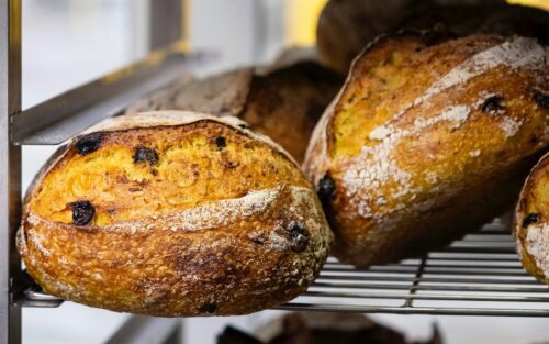 «Хлібологія»