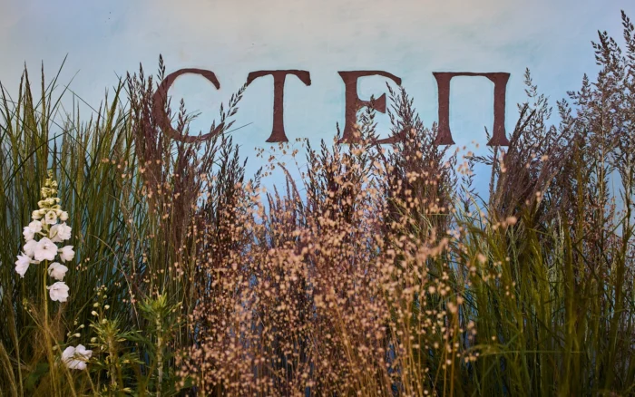 «Степ»