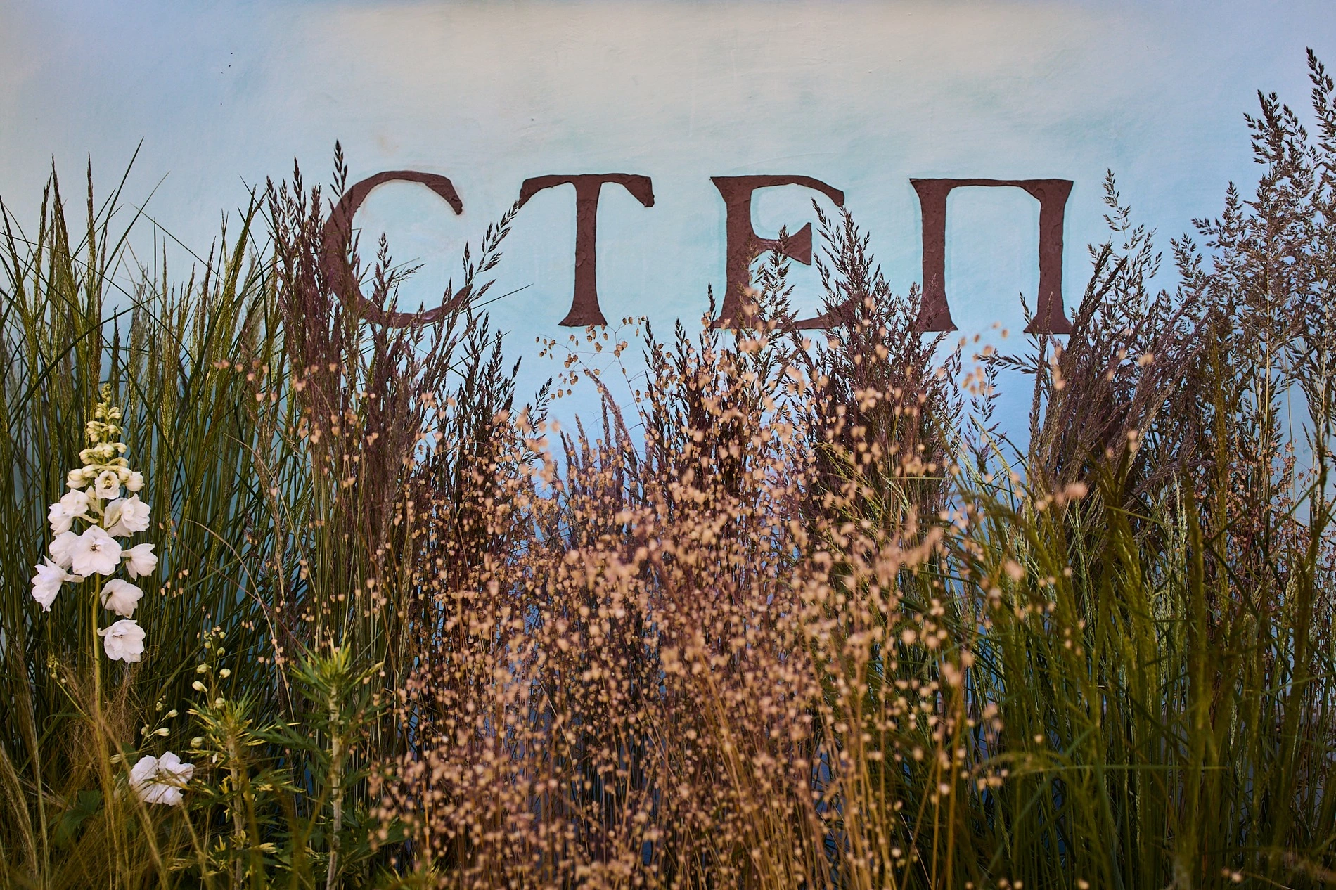 «Степ»